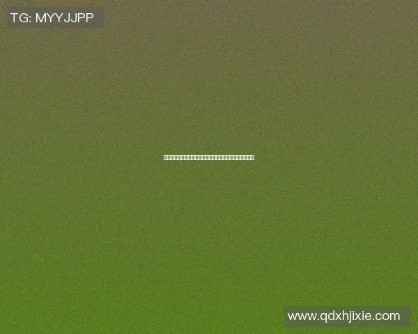 告别绿茵场的传奇岁月足球明星的最后一场比赛与永恒回忆